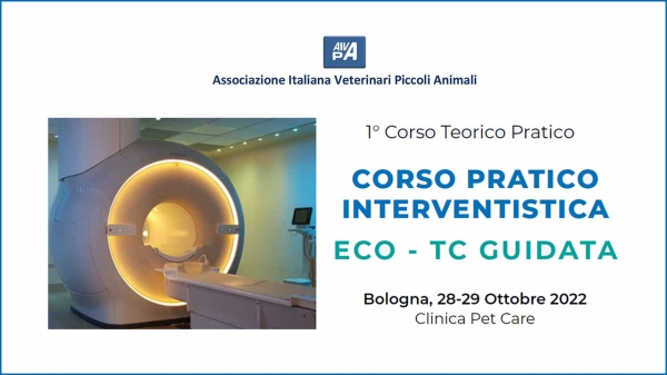 CORSO PRATICO INTERVENTISTICA ECO-TC GUIDATA - I° Corso Teorico Pratico ...